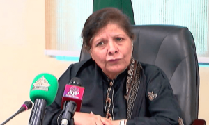 حکومتی ملکیتی اداروں کے حوالے سے پالیسی تیار، شفاف نجکاری کی جائے گی، وزیر خزانہ