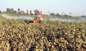 Minister wants food advisory body activated