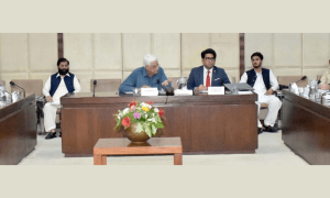 As Senate panel calls for polls within 90-day timeframe, ECP secretary assures it of &lsquo;level playing field&rsquo;