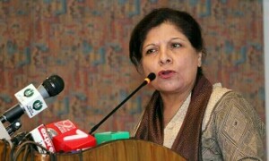 Caretaker govt to begin talks with IMF on quarterly review next month, Senate committee told