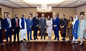 India involved in genocide of Muslims, President Alvi tells UK members of parliament