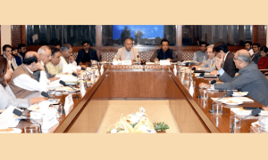 Senate panel okays bill for public hanging of rapists