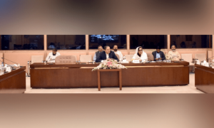 High interest rates blamed for Rs7tr hike in national debt