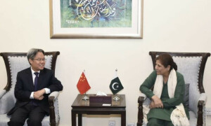 پاکستان، چین کے درمیان پائیدار، کثیرالجہتی شراکت داری قائم ہے، نگراں وزیر خزانہ