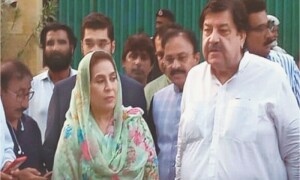 GDA demands bureaucracy reshuffle, suspension of LGs in Sindh for fair polls