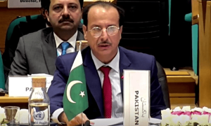 Efforts on to strengthen health system, minister tells WHO forum