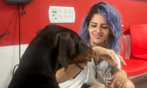 PHOTOS: Parrots, dogs rescued near Israel-Gaza border