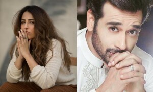 فلسطینیوں سے اظہار یکجہتی، شوبز شخصیات نے اپنی سرگرمیاں محدود کردیں