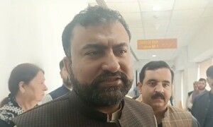 Interior minister insists deportation drive aimed at all illegal residents, not solely Afghans