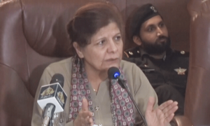 مالی سال کی پہلی سہ ماہی میں آئی ایم ایف ہدف سے زیادہ ٹیکس وصول ہوا، شمشاد اختر