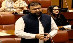 بلوچستان میں کالعدم تنظیمیں ڈیتھ اسکواڈ چلا رہی ہیں، نگران وزیر داخلہ