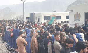 غیرقانونی تارکین وطن کے خلاف کریک ڈاؤن جاری، 7 ہزار سے زائد ملک بدر