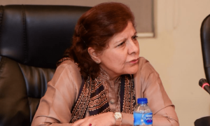 پاکستان کو ماحولیاتی چیلنجز سے نمٹنے کیلئے 340 ارب ڈالر درکار ہیں، نگران وزیر خزانہ