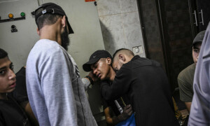 Palestinians face genocide: observers