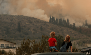 This year set to be warmest in 125,000 years, say scientists