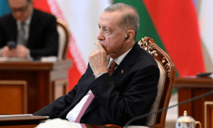 Turkiye prepared to take on injured Palestinians for medical treatment: Erdogan