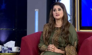 ریمبو کی عمر نکلی جارہی تھی اس لیے ان سے شادی کی، صاحبہ افضل