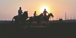 Man travels to Islamabad on horseback with a mission