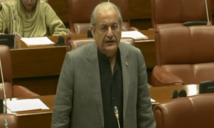 سینیٹ کی فوجی عدالتوں سے متعلق قرارداد اکثریت کی رائے نہیں ہے، رضا ربانی