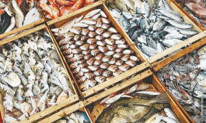 US extends exemption related to fish exports