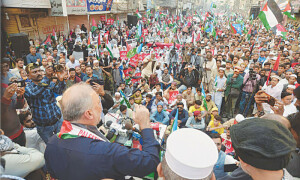 JI urges Arab states to review Israel policy