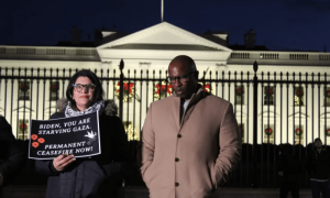 Progressive US lawmakers call for ceasefire in Gaza