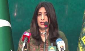 غزہ میں ضروری انسانی لائف لائن تباہ ہونے کا خدشہ ہے، وزارت خارجہ