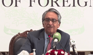 بھارتی سپریم کورٹ کے فیصلے کو مسترد کرتے ہیں، نگران وزیر خارجہ