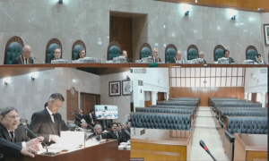 &rsquo;ختم ہوئے کیس کو دوبارہ کیسے دیکھ سکتے ہیں؟&lsquo; ذوالفقار بھٹو صدارتی ریفرنس کی سماعت جنوری تک ملتوی