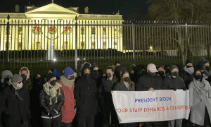 Biden staffers demonstrate outside White House for Gaza ceasefire