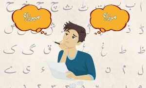 لفظ تماشا: میر، میرزا اور بادہ