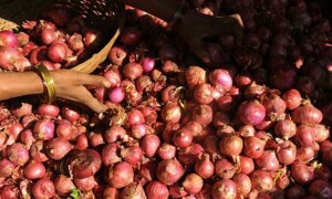 نگران حکومت کا پیاز کی برآمدات محدود کرنے کا فیصلہ