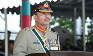 آرمی چیف کا دورۂ امریکا، پاکستانیوں کو خصوصی کونسل کے ذریعے سرمایہ کاری کی ترغیب