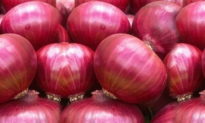 بھارت نے پیاز کی برآمدات پر پابندی لگادی، ایشیائی ممالک میں قیمتوں میں بے انتہا اضافہ