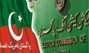 الیکشن کمیشن کی تحریک انصاف کو لیول پلیئنگ فیلڈ کے حوالے سے تحفظات دور کرنے کی یقین دہانی