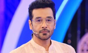 پاکستانی سنیما کی بحالی کیلئے بولی وڈ فلمیں لگانا ہوں گی، فیصل قریشی