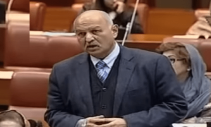 Mass rejection of PTI leaders&rsquo; papers to harm democracy, says PML-N senator