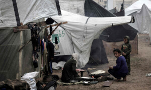 Gazans scavenge wood for makeshift shelters