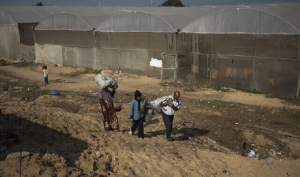 Children in Gaza are caught in a nightmare: Unicef