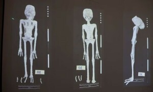 Scientists assert &lsquo;alien mummies&rsquo; in Peru are really dolls made from Earthly bones