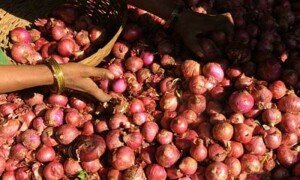 برآمدی قیمت میں اضافے کے باوجود پیاز کی قیمتوں میں کمی نہ آسکی