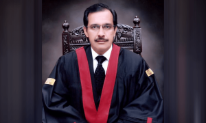 لاہور: اسموگ کے تدارک کا کیس، اسکول، کالجز کی چھتوں پر گارڈن بنانے کا حکم