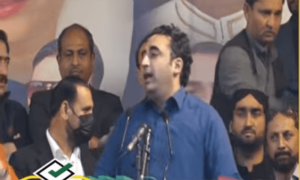 میدان میں صرف جیالے ہیں، شیر تو گھر میں چھپا بیٹھا ہے، بلاول بھٹو