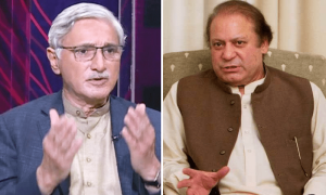 The &lsquo;secret marriage&rsquo; between PML-N and IPP