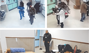 Israeli forces storm West Bank hospital in disguise
