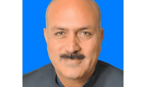 Senator &lsquo;expelled&rsquo; from PPP over polls delay resolution