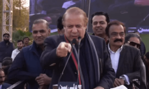 &lsquo;Real youth&rsquo; stands with PML-N: Nawaz