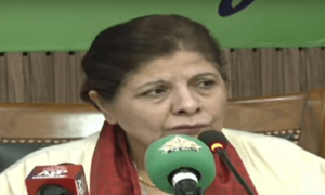 ملک کو معاشی طور پر مستحکم کرنے کے لیے اقدامات کیے، نگران وزیر خزانہ