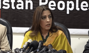 لاہور میں بلاول کے ایک حلقے نے (ن) لیگ کی نیندیں حرام کردی ہیں، پلوشہ خان
