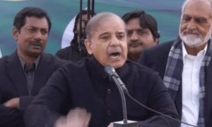 Majority of Pakistan&rsquo;s development projects are initiated by Nawaz, says Shehbaz